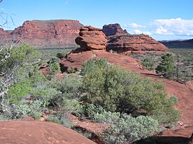 Finke Gorge NP.jpg