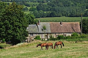 France, Calvados, Auquainville (4)