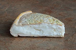 Fromage Pied-De-Vent