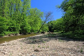 Gfp-canada-ontario-bronte-creek-park-shoreline.jpg