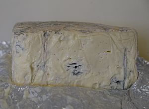 Gorgonzola 3