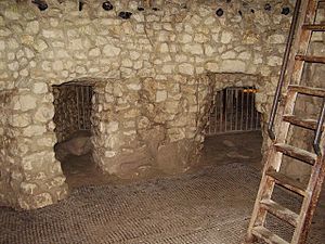 Grimes Graves , neolithic flint mine - geograph.org.uk - 1007207.jpg