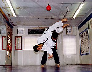 Hapkido1