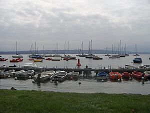 Harbour of Genthod (3)