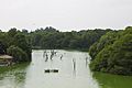 Hauz Khas Lake