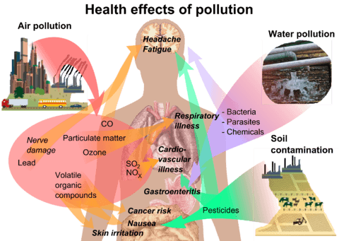 Health effects of pollution