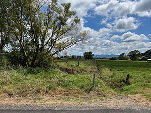 Hikutaia railway station site