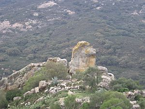 Iglesia rupestre de Jimena