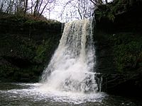 Kersland Mill falls