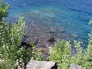 Lake Crecent closeup