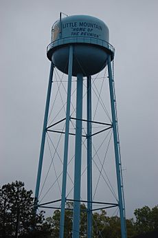 LittleMountainWaterTower