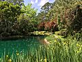 Maclay Gardens pond in April