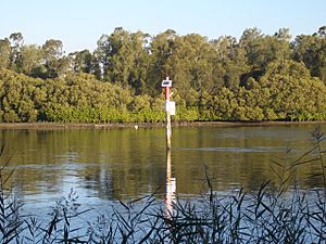 Milperra Georges River 2