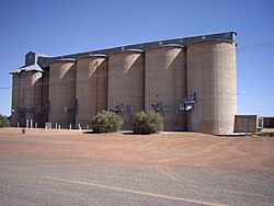 Mirrool Silos