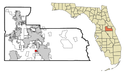 Location in Orange County and the state of Florida