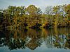 Trees with red, orange, and yellow leaves reflected in a lake