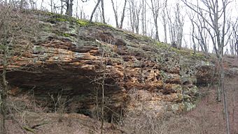 Rockhouse Cliffs Rock Shelters.jpg