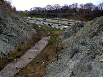 Serpentinite Staten Island