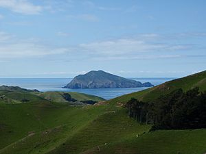 Stephens Island (Takapourewa)