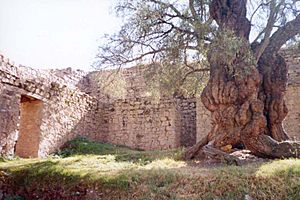 Templo de Huarivilca.jpg