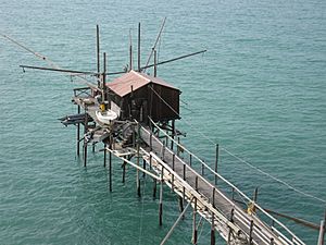 Termoli trabucco