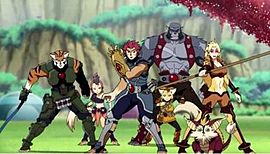 TheThunderCats2011