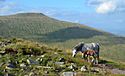 The Brecon Beacons