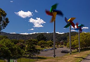 The Smiling Windmills