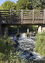 Thorp Gristmill Weir