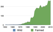 Total production of Anguilla japonica