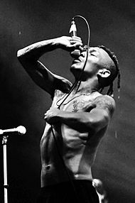 Tricky @ INmusic festival