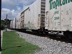 Tropicana juice cars 2009.jpg