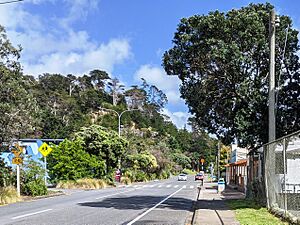 Waiwera Road