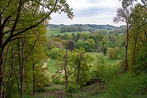 Winkworth Arboretum in spring.jpg