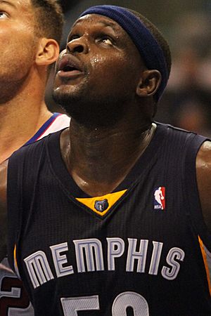 Zach Randolph 20131118 cropped.jpg