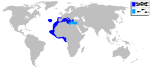 Apogon imberbis mapa.svg