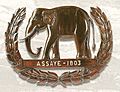 Assaye (Elephant)