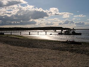 Badgernet Christchurch Harbour Ferry 1