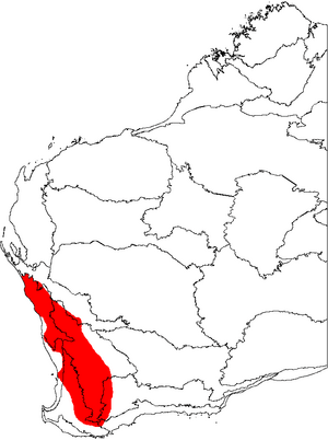 Banksia fraseri map