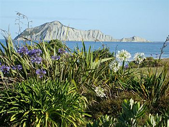 Bare Island1 800x600.jpg