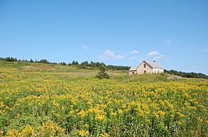 Bonaventure homestead