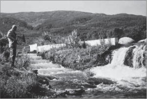 Brooks Falls Fish Ladder 1951