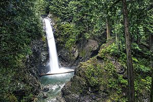 Cascade Falls Regional Park BC