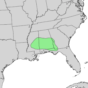 Catalpa bignonioides range map 2.png