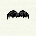 Chevron-moustache