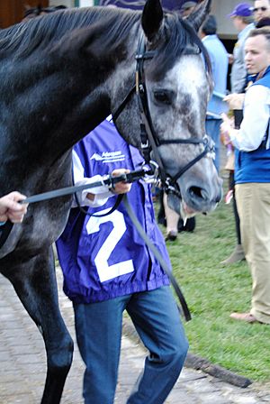 DSC 3371RoaringLion