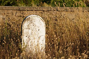 David S. Dye Gravestone