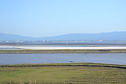 Don Edwards San Francisco Bay National Wildlife Refuge 1