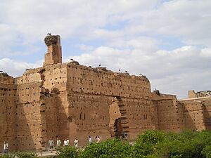 El Badi Palace 3