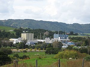 Fonterra Dairy Processing Plant Maungaturoto